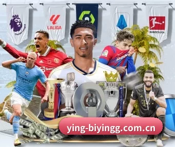 ying-biyingg.com.cn APP